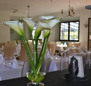 All Suites Resort & Spa