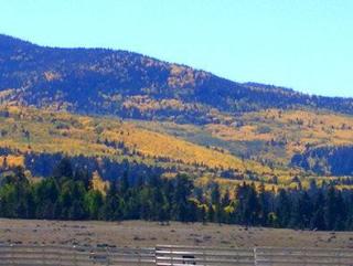 Best Western Inn Of Pinetop