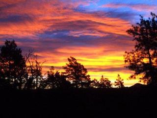 Best Western Inn Of Pinetop