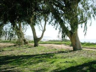 General view