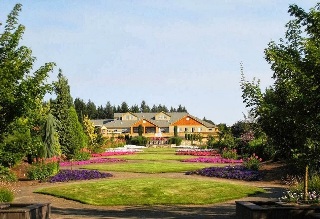 General view