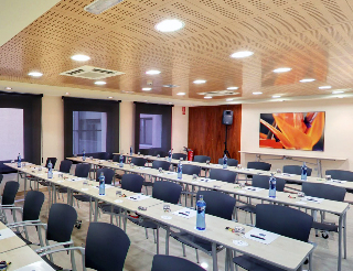 Conferences