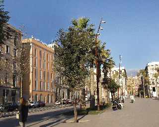 General view