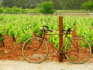 Agroturismo Sa Vinya Den Palerm