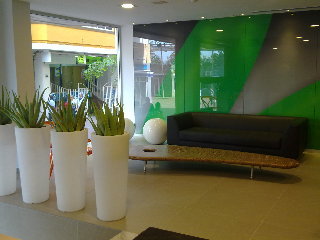 Aloe Canteras