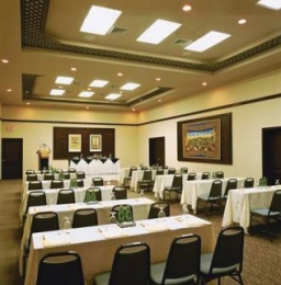 Conferences