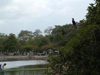 General view