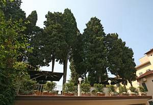 General view