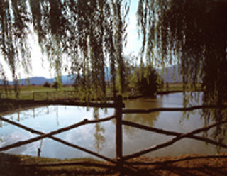 General view
