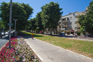 General view