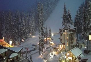 Alpin
