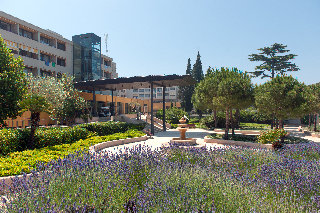 General view