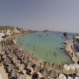 Acrogiali