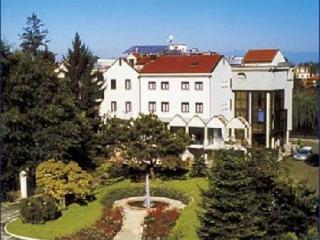 Ai Pini Park Hotel