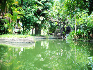 General view