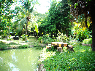 General view
