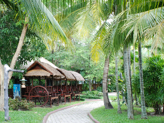 General view
