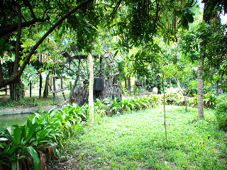 General view