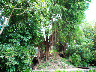 General view
