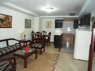 Aparta Hotel del Rio