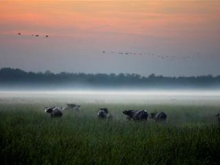 Bamurru Plains