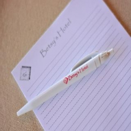Conferences