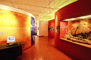 General view