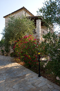 General view