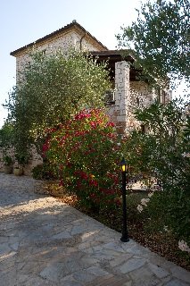 General view