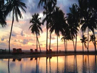 Avani Kalutara