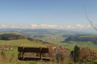 General view