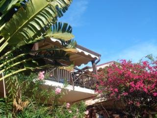 Captain Oliver´s Resort