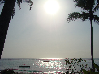 General view