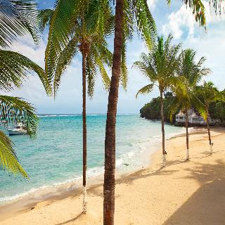 Couples Tower Isle All Inclusive