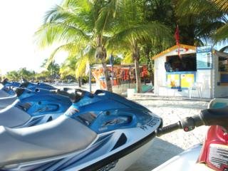 Flamboyant - Le Village