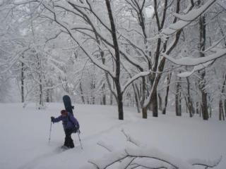 Hakuba Mominoki Hotel