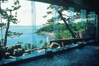 Ibusuki Iwasaki Hotel