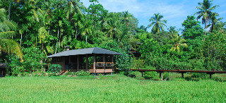 General view
