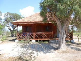 General view