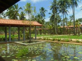 Serene Pavillion