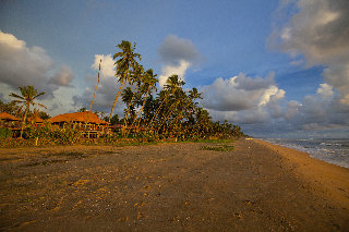 General view
