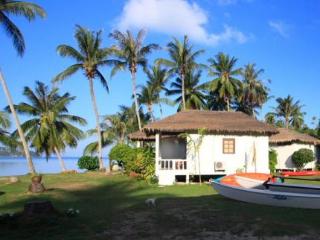 General view