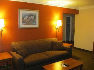 Best Western Alvin Inn