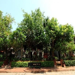 General view