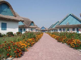 General view