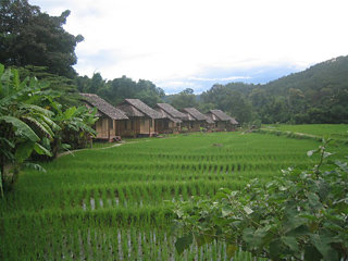 Fern Resort Mae Hong Son