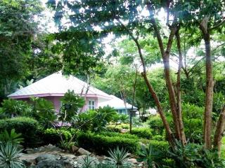 General view