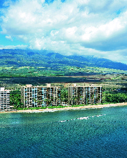 General view