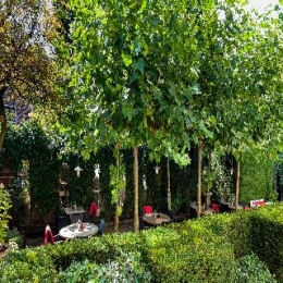 Terrace