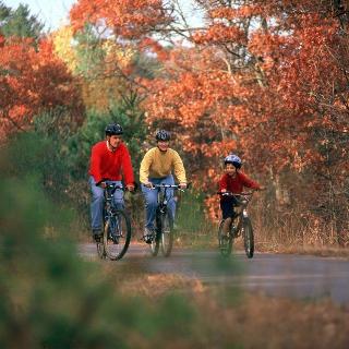 Best Western Plus Coon Rapids North Metro Hotel
